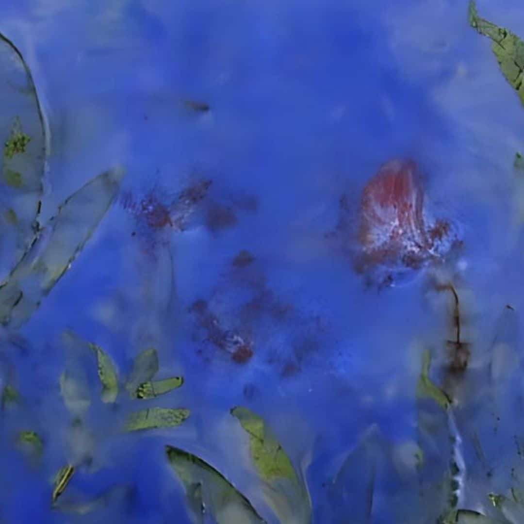 27[1]