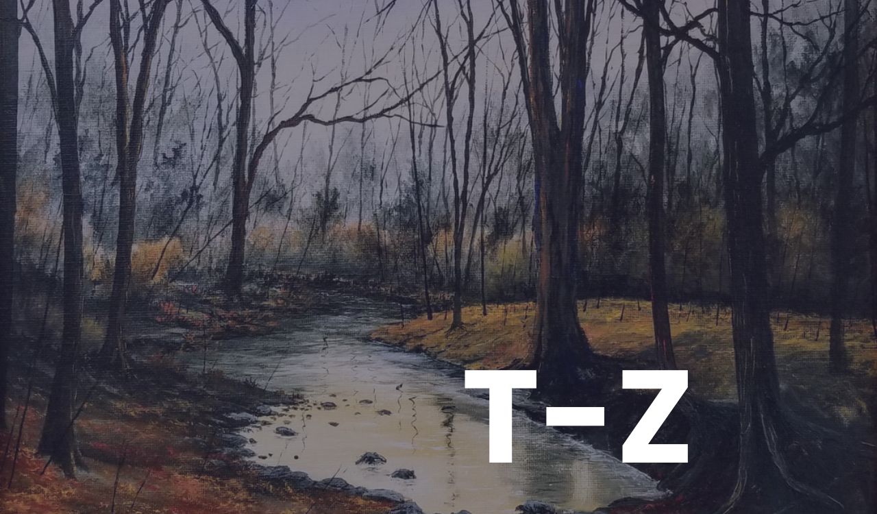 Tz