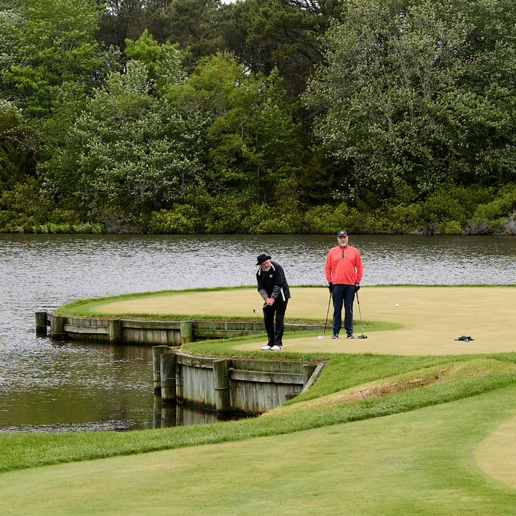 Website Thumbnail 10