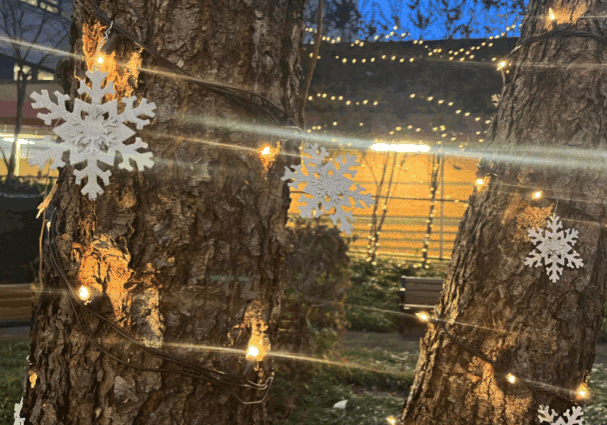 Website Thumbnail (12)